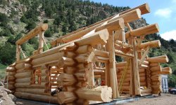 Из чего можно построить деревянный дом