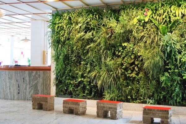 фото стены из искусственных растений