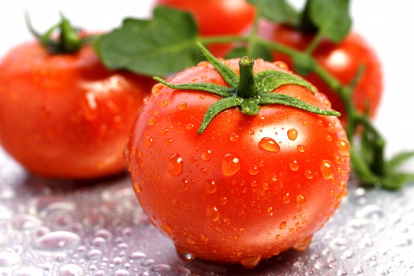 Лучшие сорта томатов семян: посадка и уход