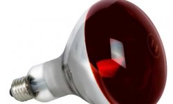 Разновидности и сфера применения инфракрасных ламп