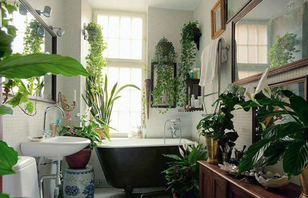 ванна с растениями