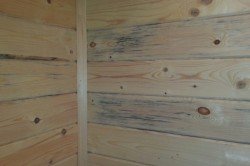 Выбор древесины при строительстве дома из каркаса